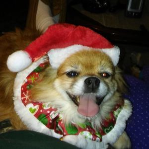 Meet your Posher, Charles